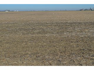 Tract 2 - FARMLAND AUCTION - 165.5+/- ACRES OFFERED IN 5 TRACTS OR COMBINATIONS IN EAST ALLEN COUNTY